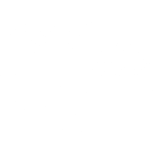 icono-blanco-nosspace